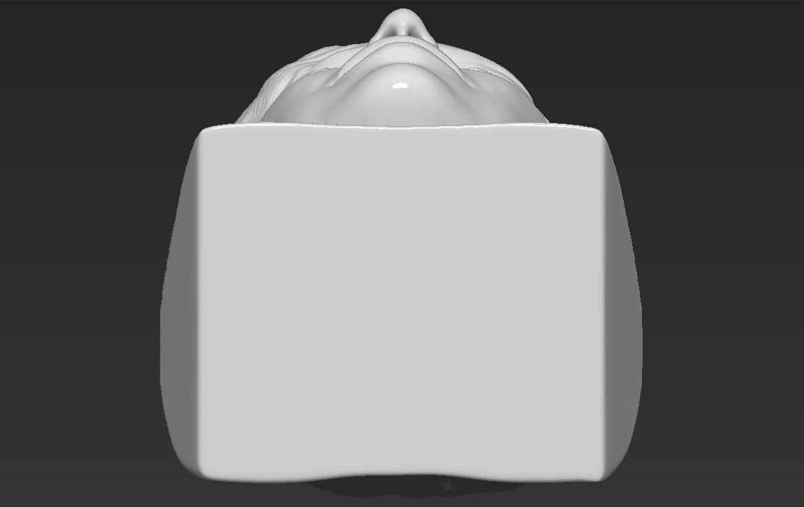 Kylie Jenner bust 3D printing stl obj formats 3D print model_22