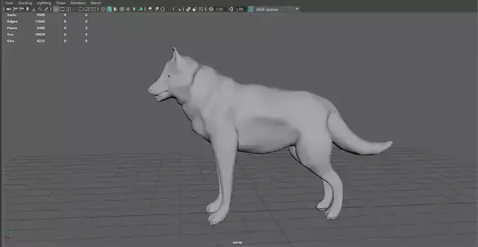 WolfObj dog