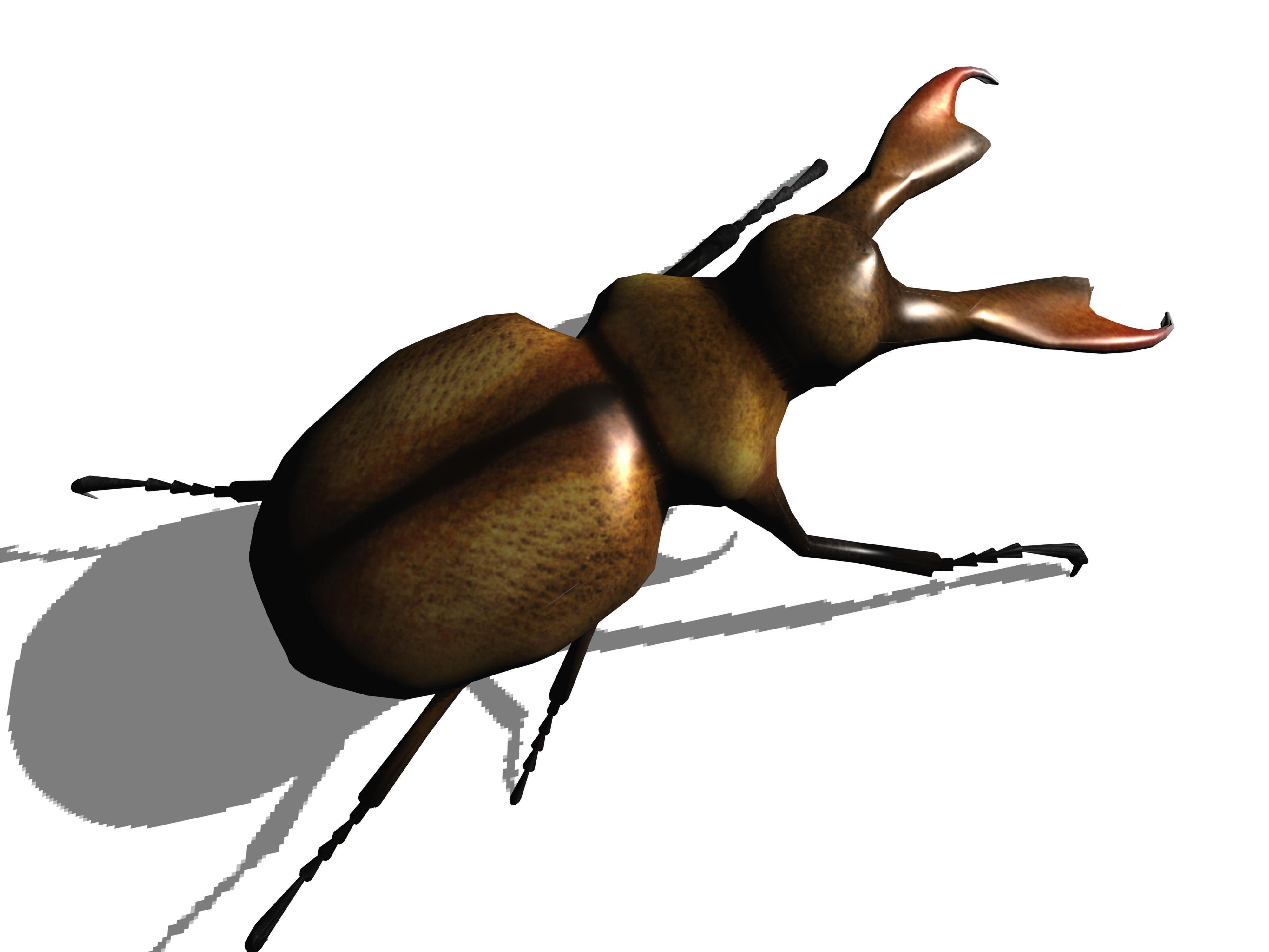 stag beetle Low-poly 3D model_3