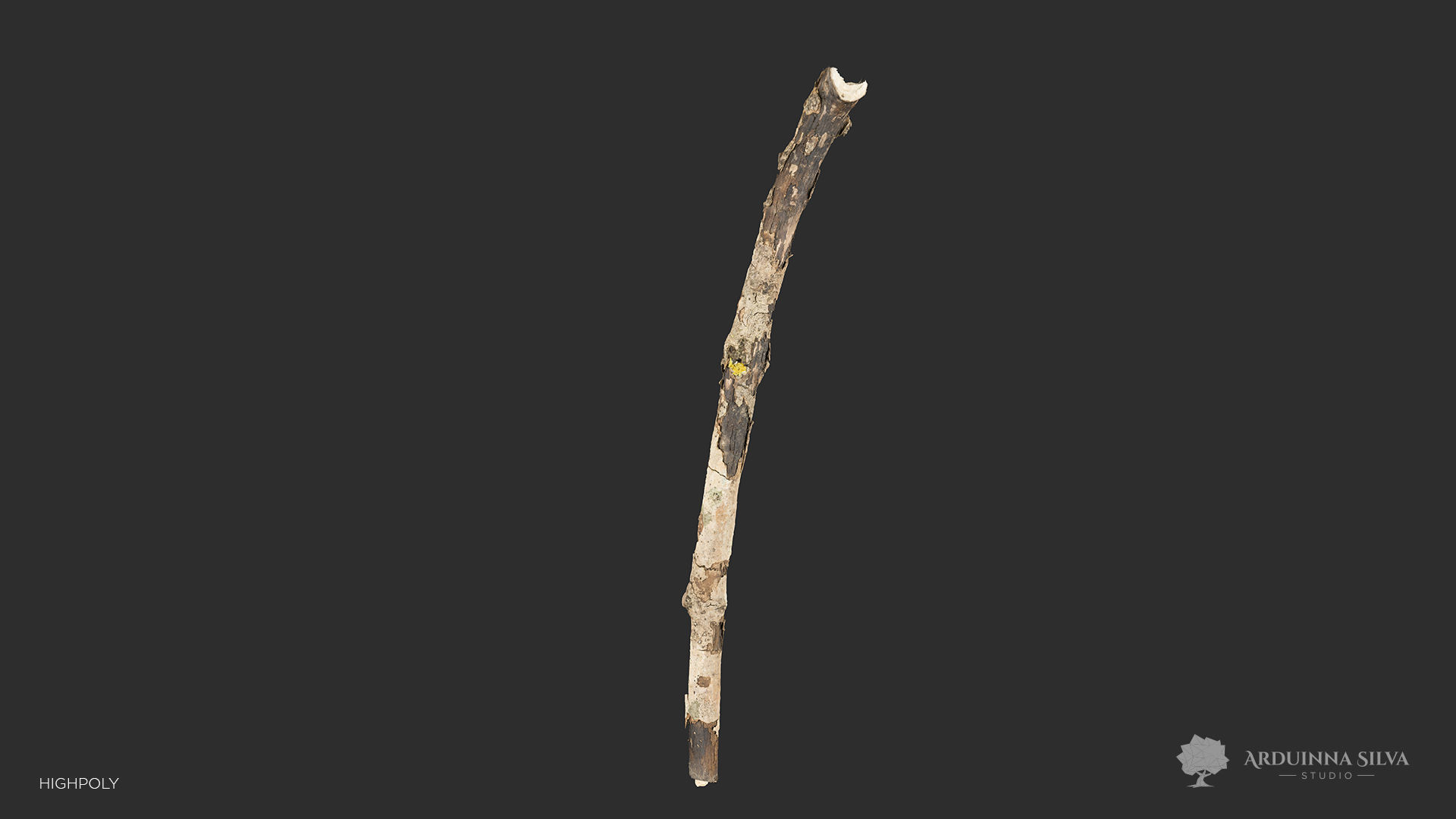 Wood stick 002 - Photogrammetry Low-poly 3D model_2