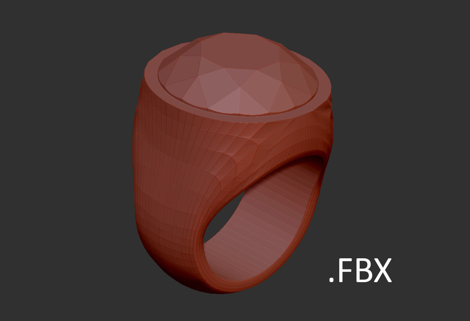 Ring Tool v1 3D print model_17