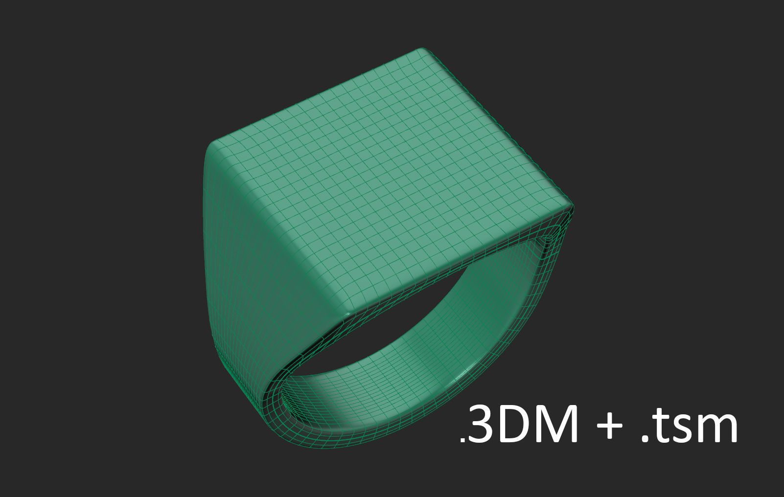 Ring Tool v1 3D print model_16