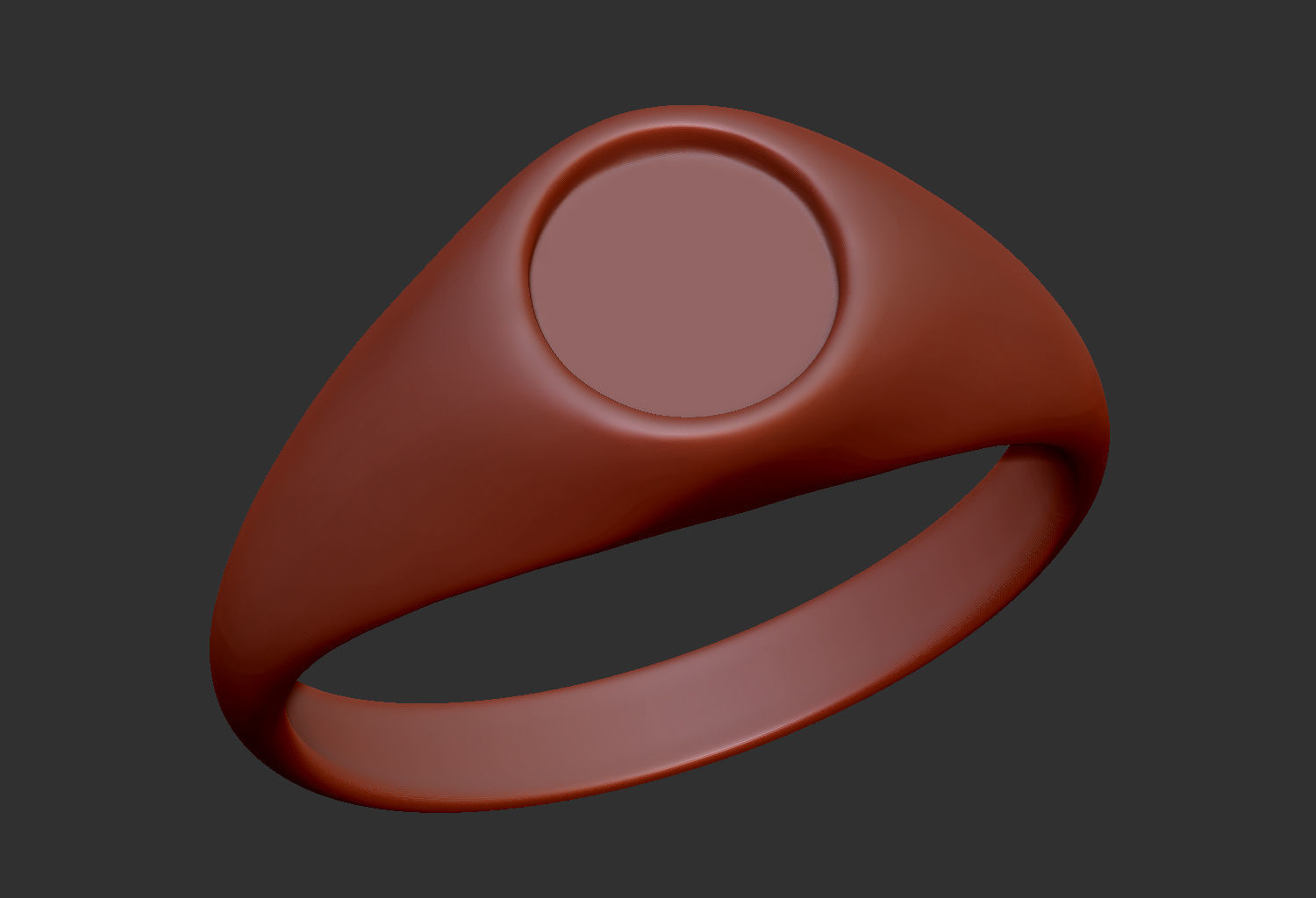 Ring Tool v1 3D print model_4