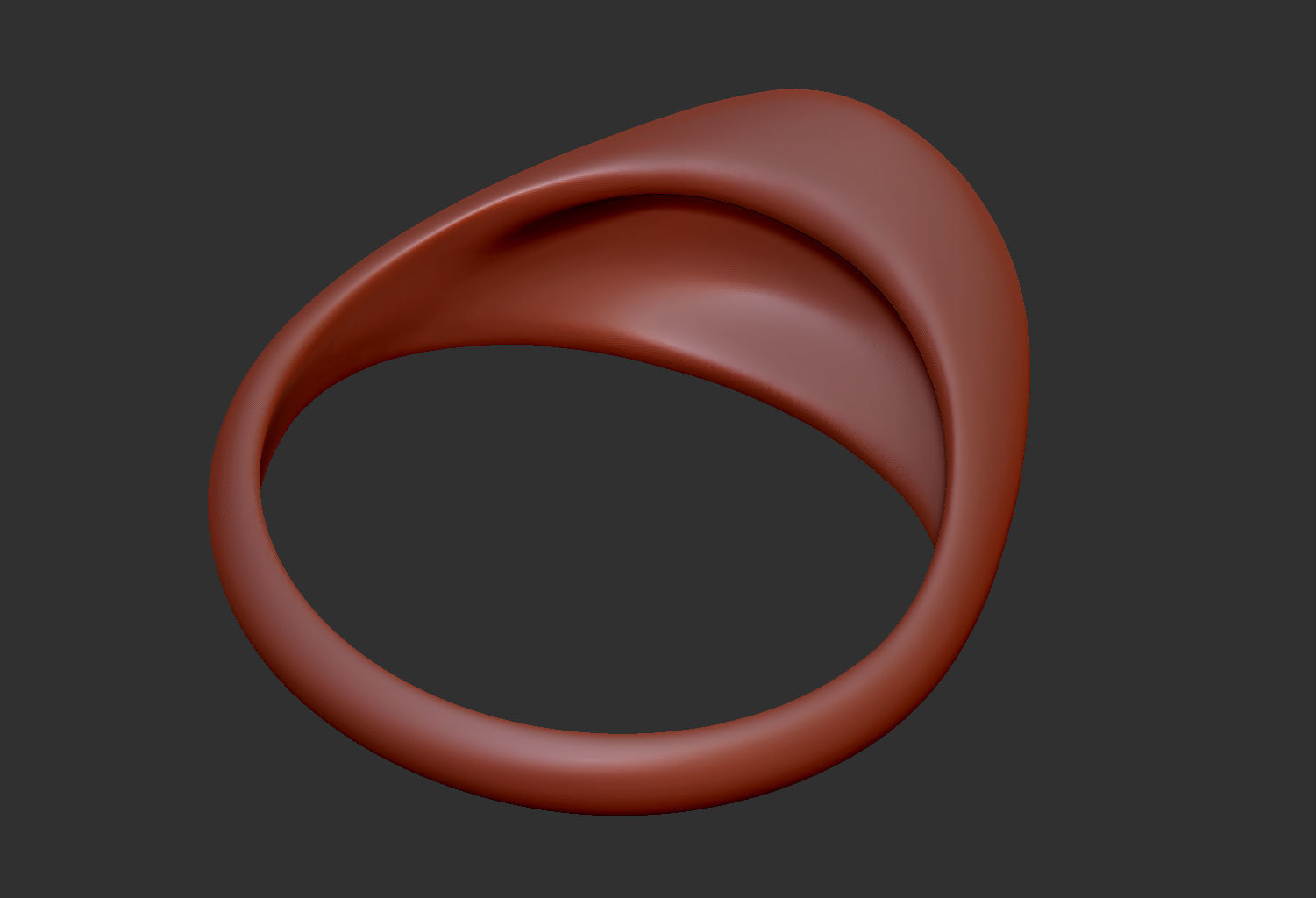 Ring Tool v1 3D print model_5