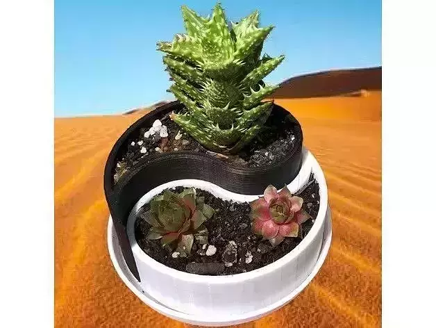 Yin-Yang Planter 3D print model