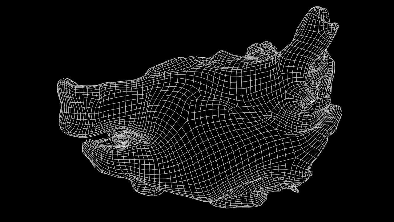 Roast Piglet - 2 versions Low-poly 3D model_11