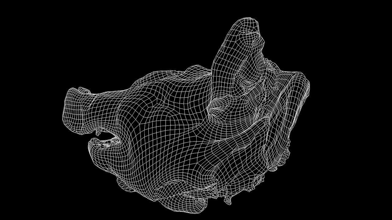 Roast Piglet - 2 versions Low-poly 3D model_13