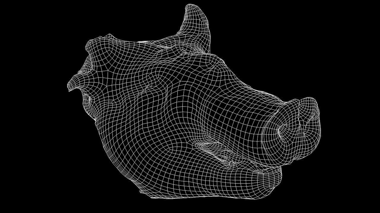 Roast Piglet - 2 versions Low-poly 3D model_12