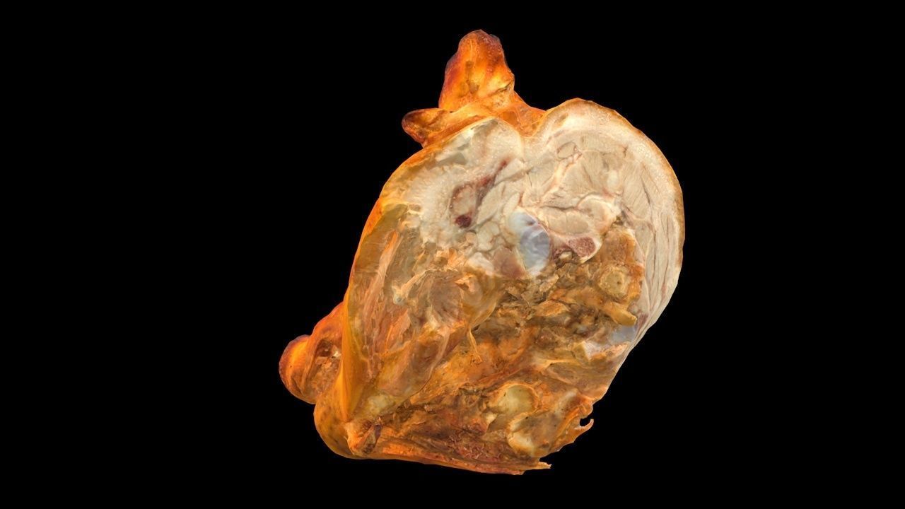 Roast Piglet - 2 versions Low-poly 3D model_8