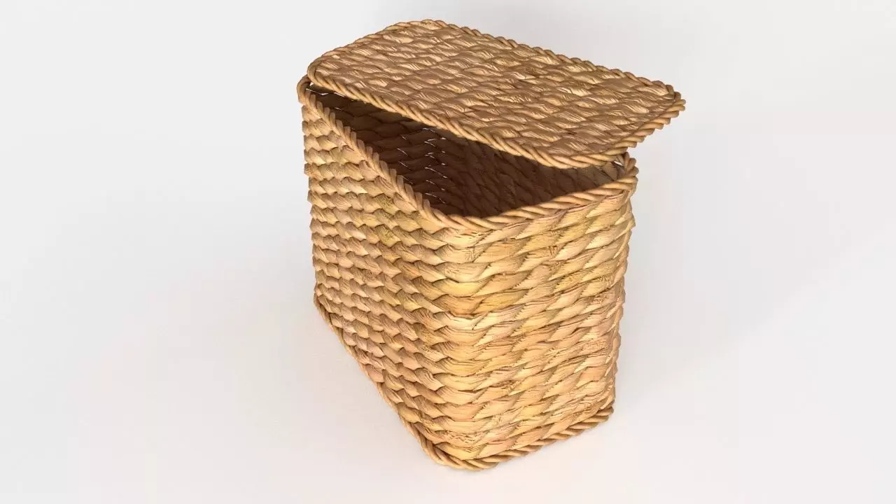 Pottery Barn SAVANNAH UTILITY BASKETS 3D model_0