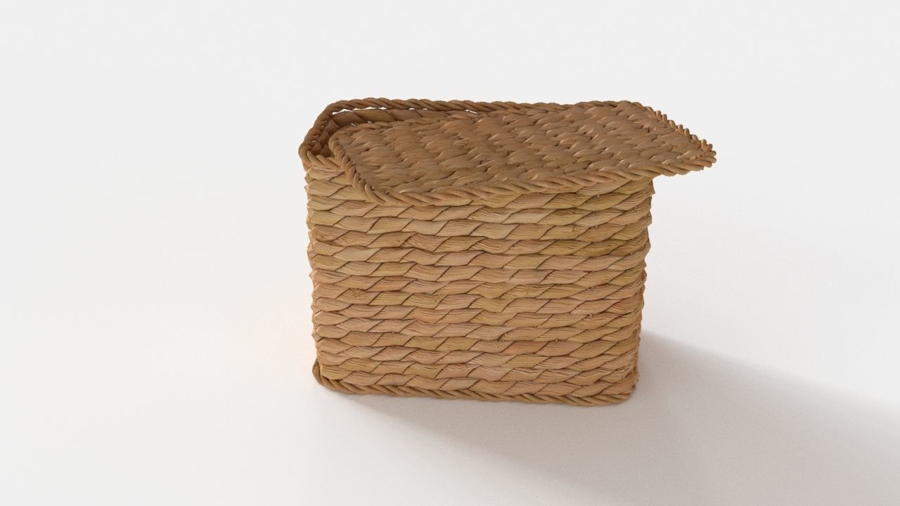 Pottery Barn SAVANNAH UTILITY BASKETS 3D model_2