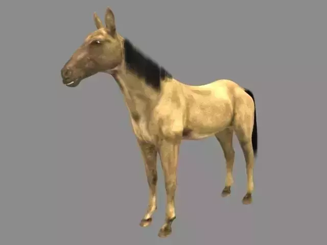 Modal Horse2 Low-poly 3D model
