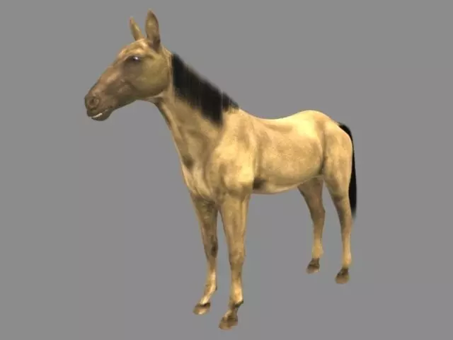Modal Horse2 Low-poly 3D model_0