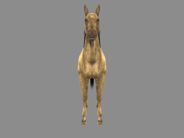 Modal Horse2 Low-poly 3D model_2