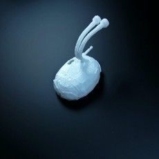 Star Trek Farscape DRD 3D model_15