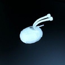 Star Trek Farscape DRD 3D model_14