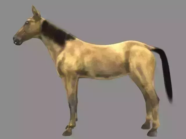 Modal Horse3
