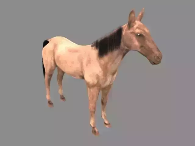 Modal Horse4