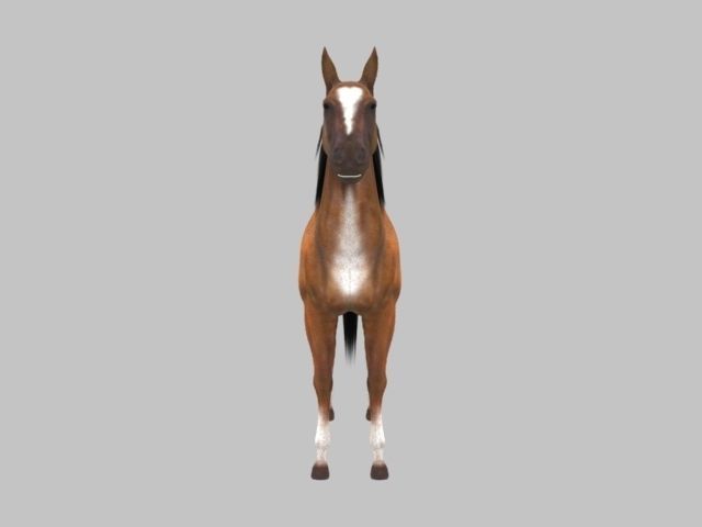 Rig Horse Low-poly 3D model_2