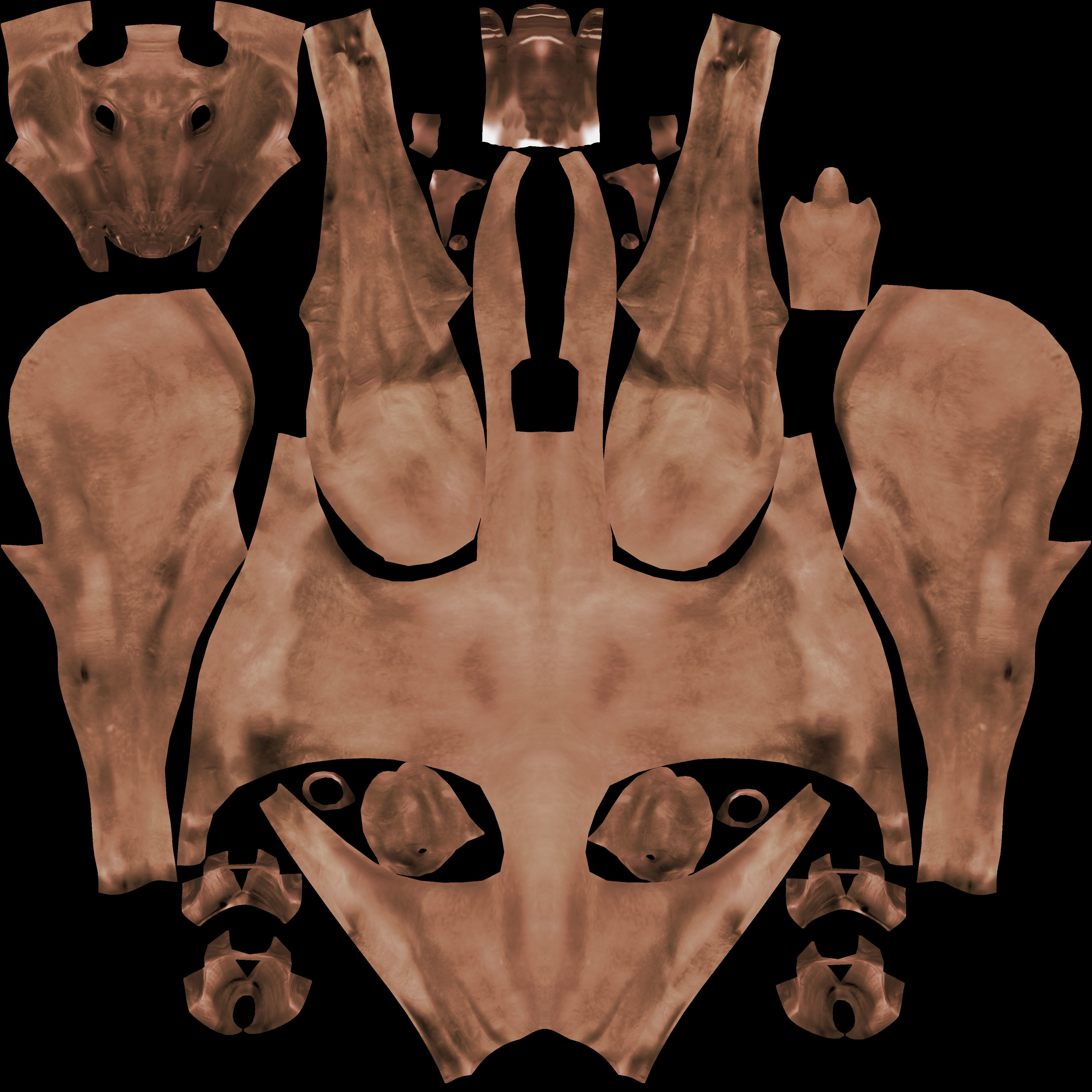 Rig Horse Low-poly 3D model_15