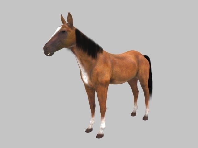 Rig Horse Low-poly 3D model_3