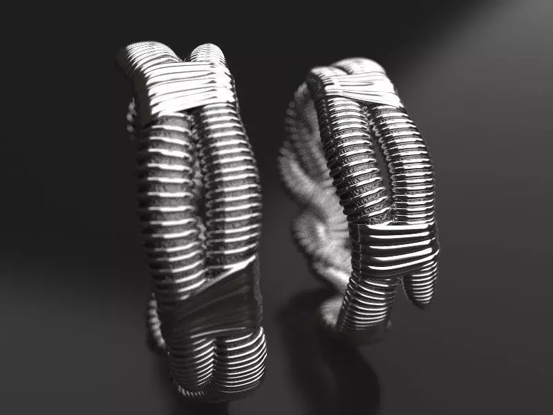 Pairing Worms wedding bands - original 3D print model_0