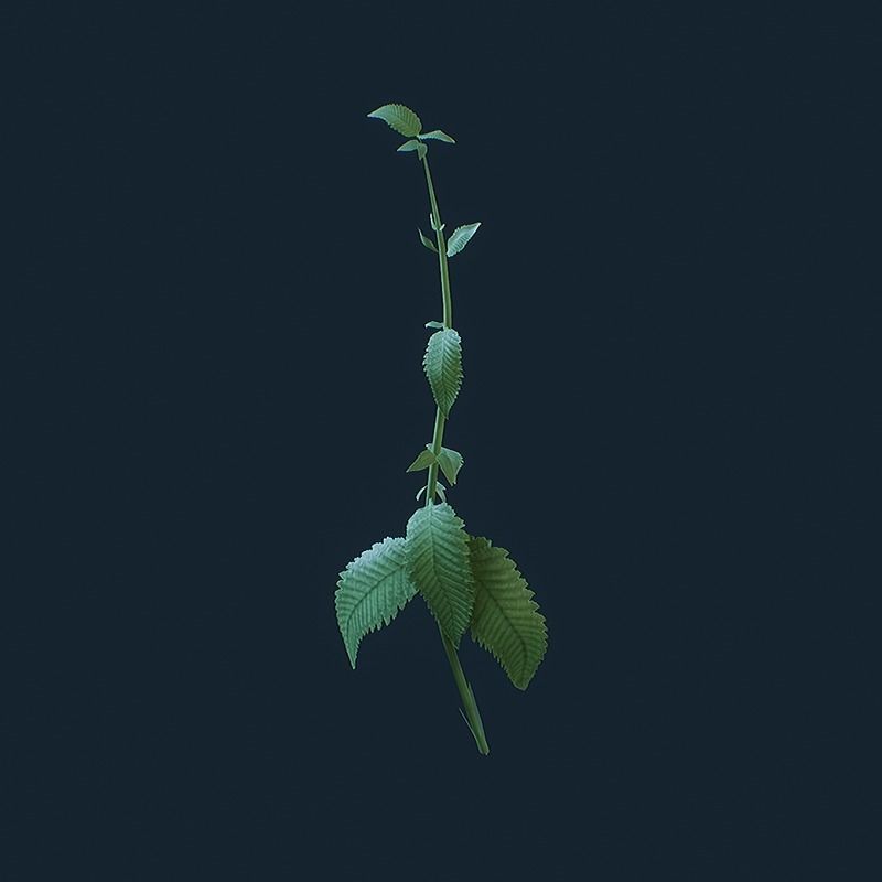 Scavenger Loot - Health Pack  Low-poly 3D model_4