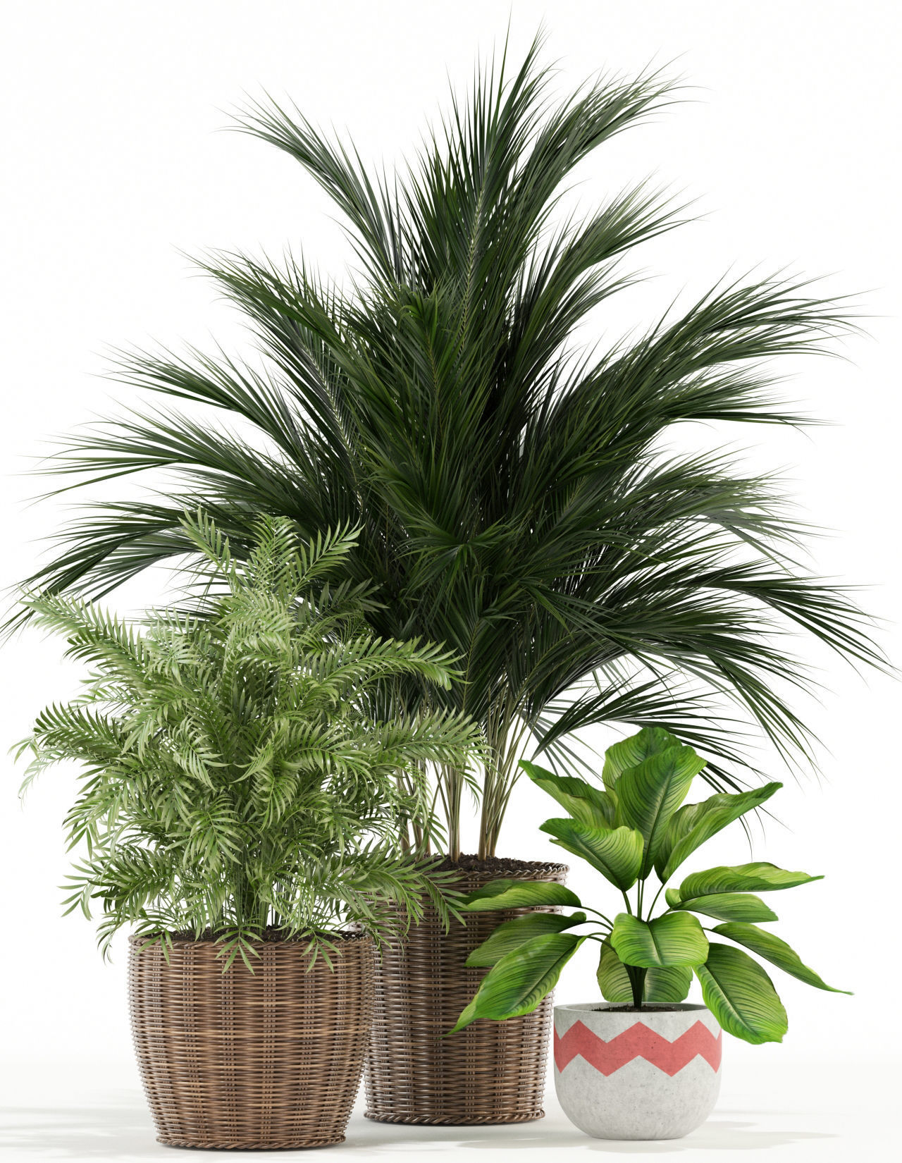 Plants collection 115 3D model_1