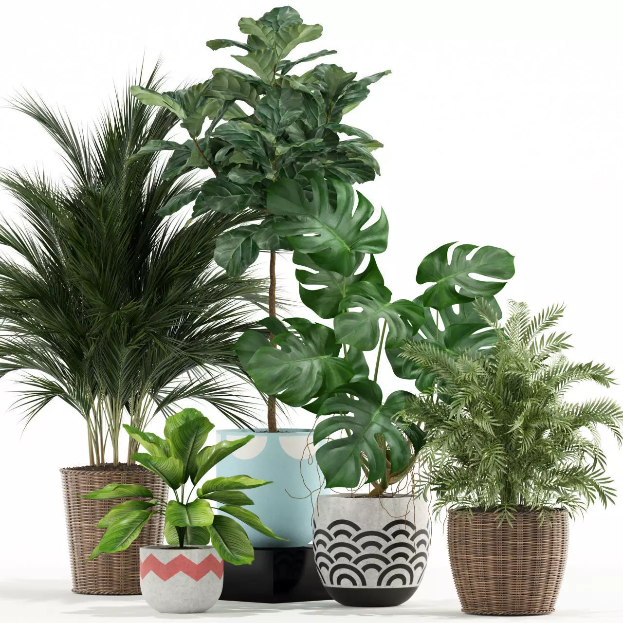 Plants collection 115 3D model_0