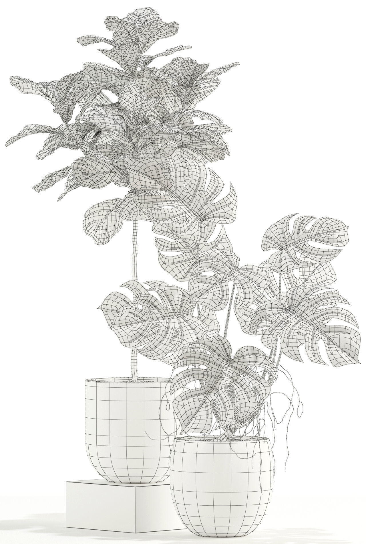 Plants collection 115 3D model_3