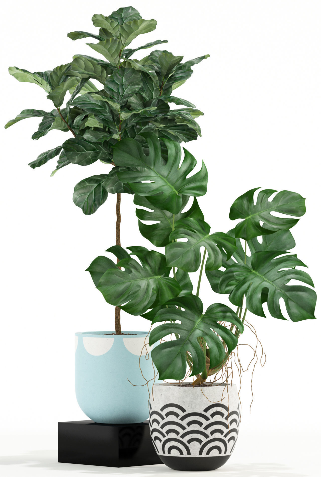 Plants collection 115 3D model_2