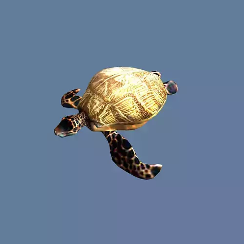 golden turtle Low-poly 3D model