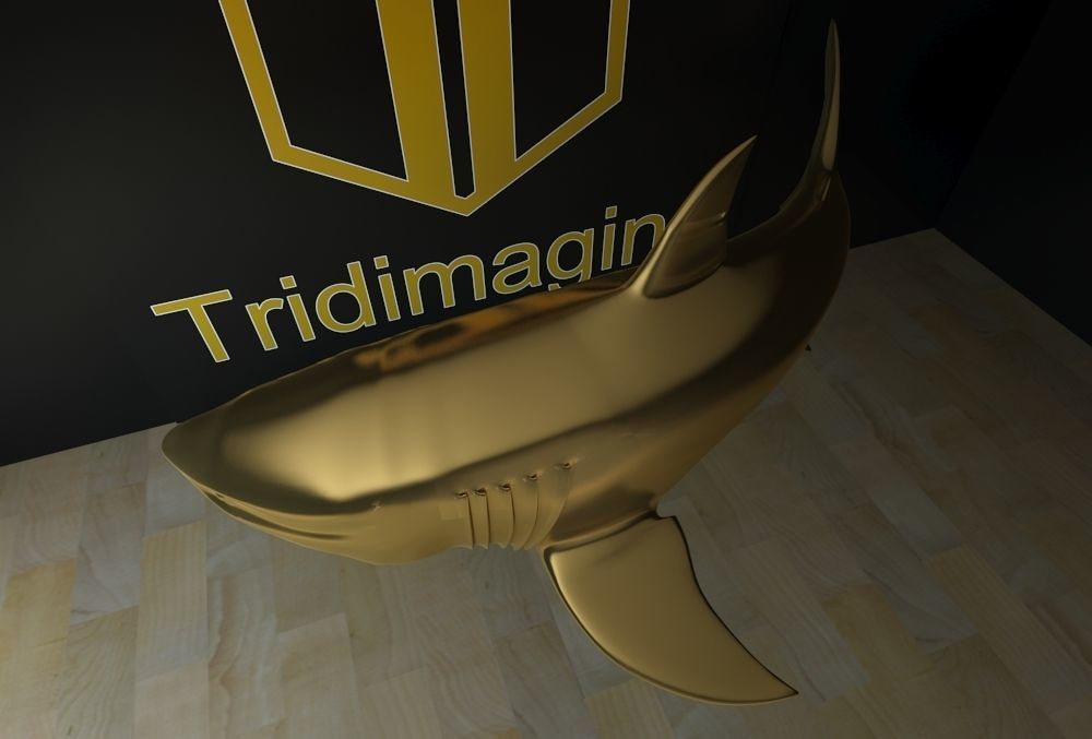 Shark 3D print model_1