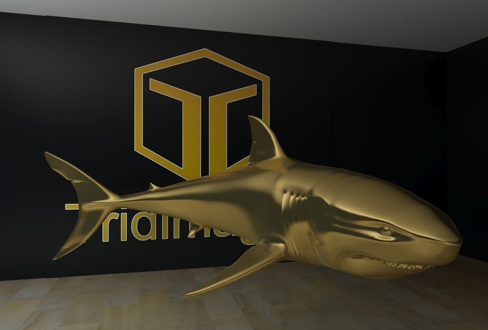 Shark 3D print model_8