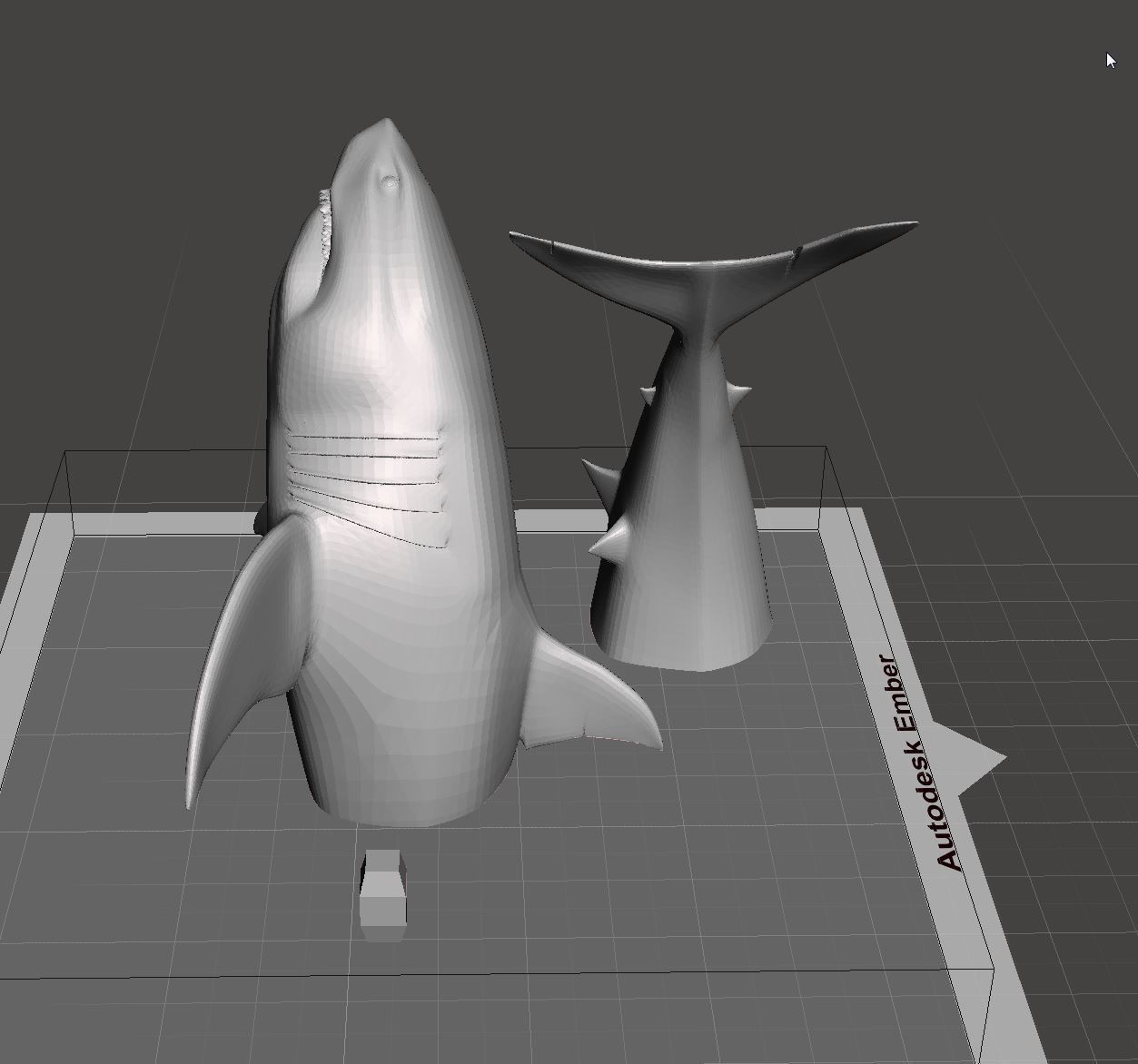 Shark 3D print model_6