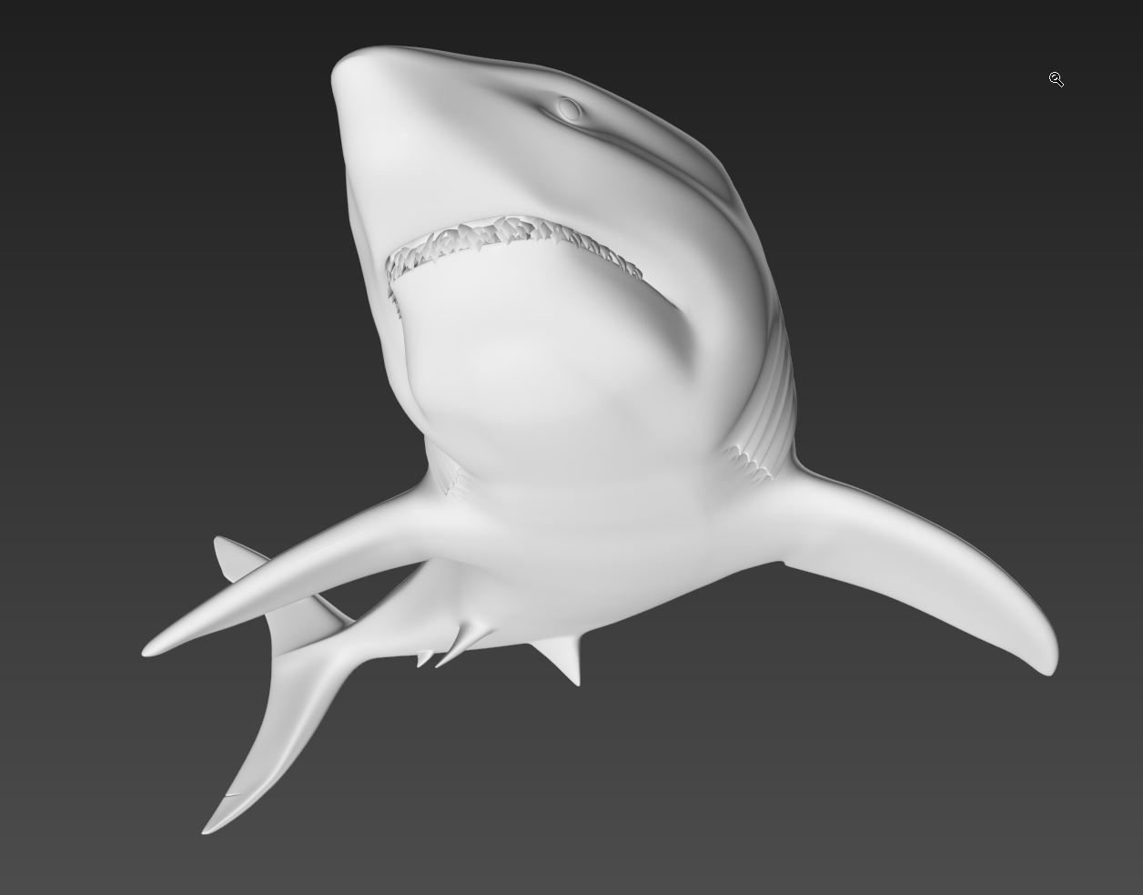 Shark 3D print model_5