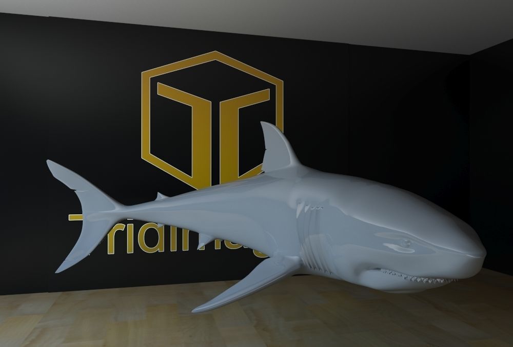 Shark 3D print model_9