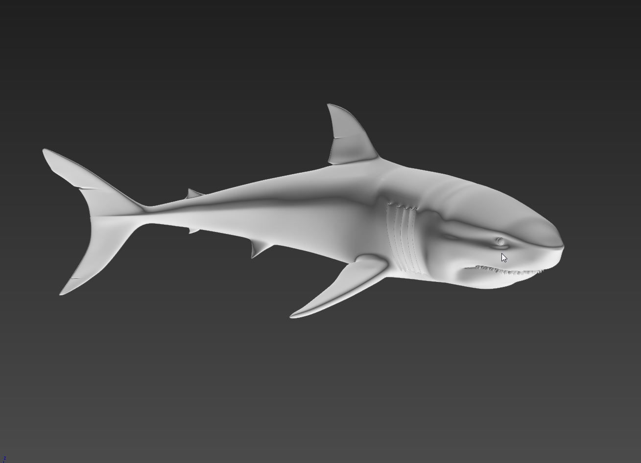 Shark 3D print model_2