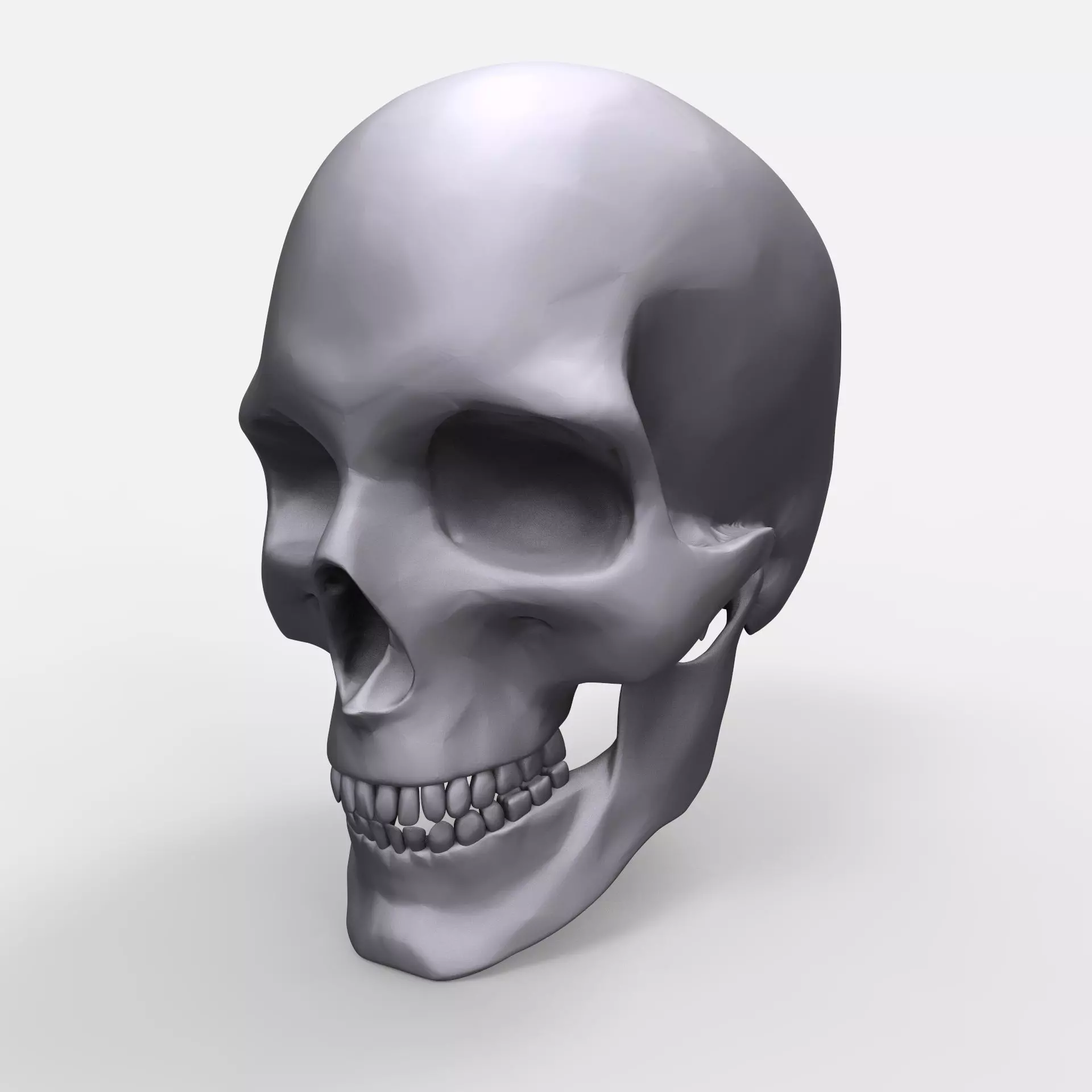 Skull Anatomy Model Printable 3D print model