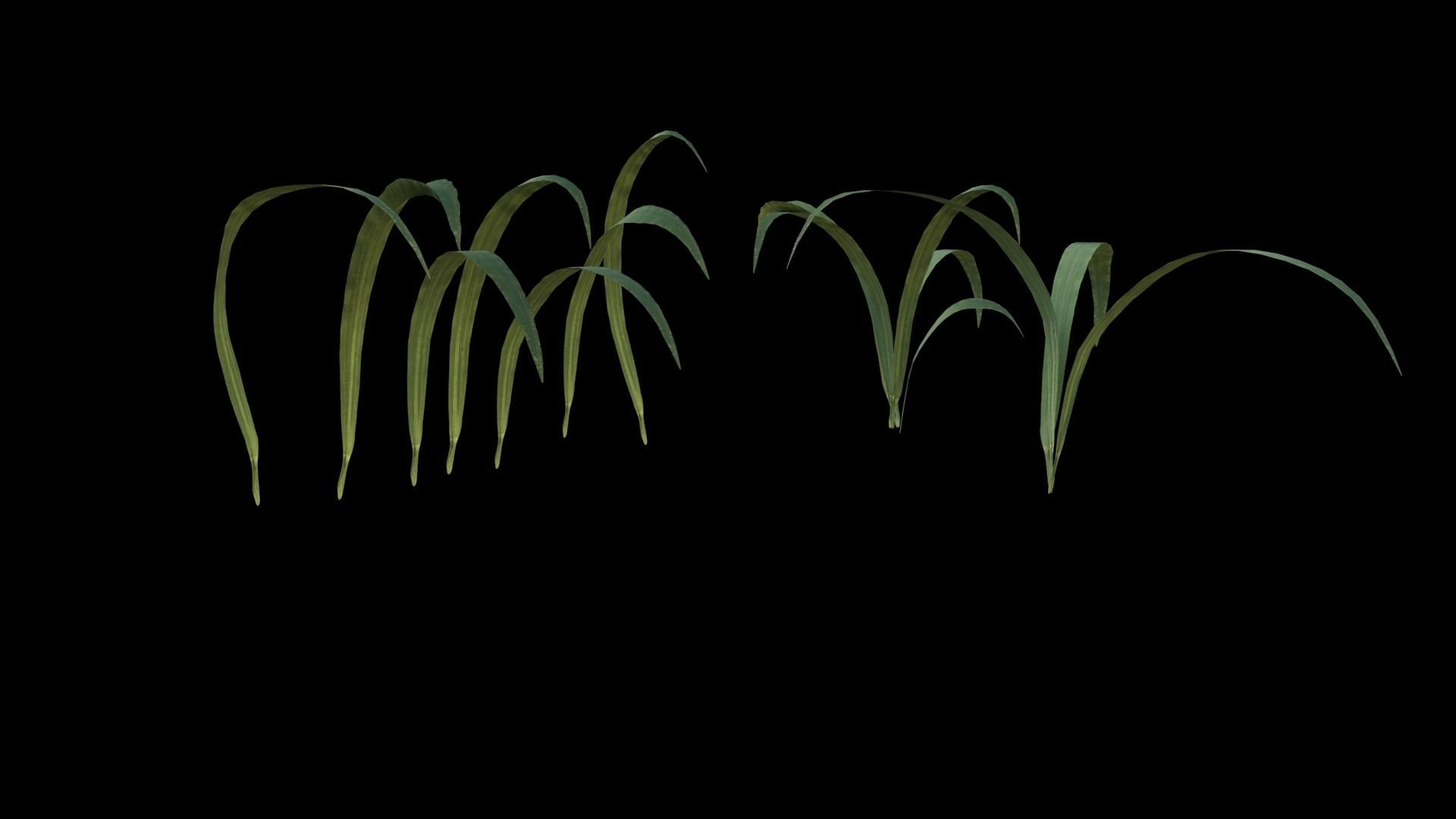 Grass Low-poly 3D model_3