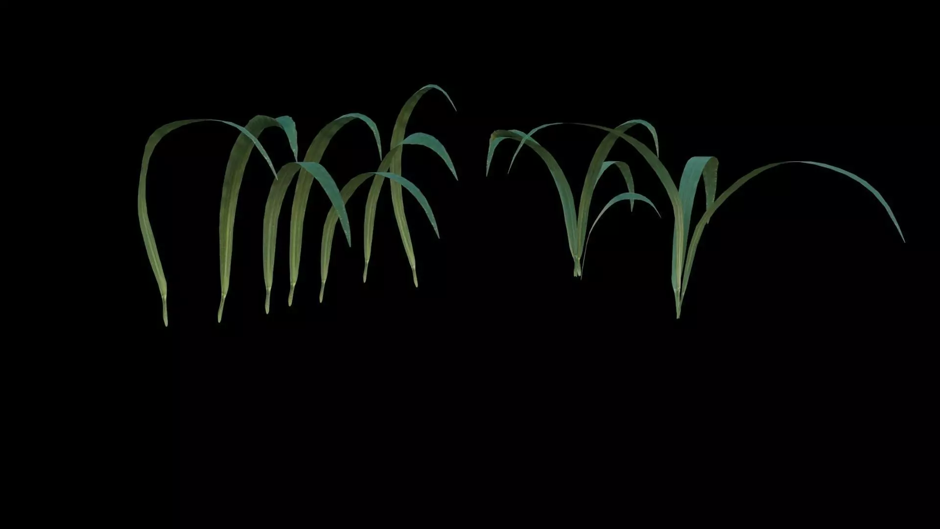 Grass Low-poly 3D model_0