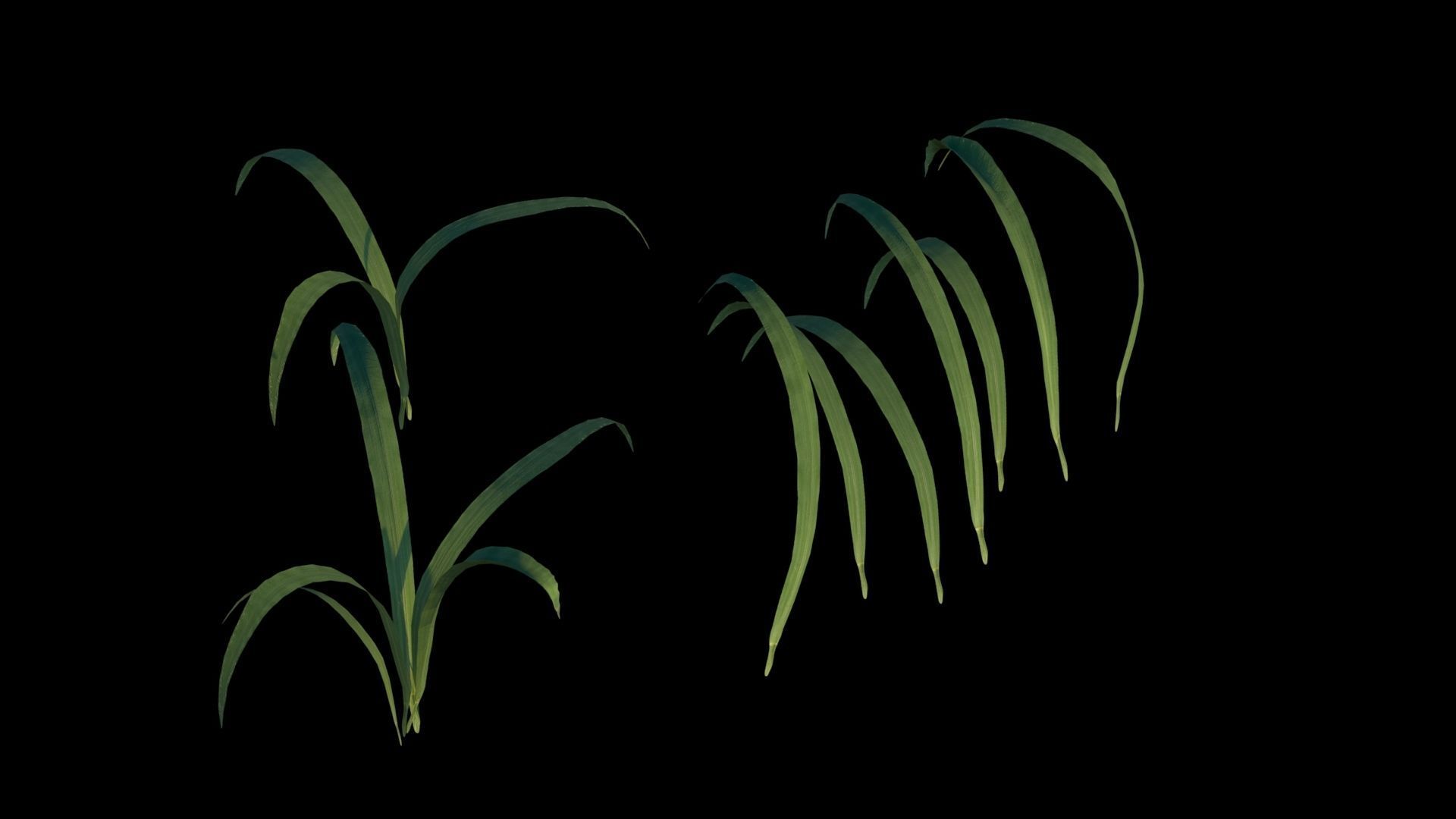 Grass Low-poly 3D model_7