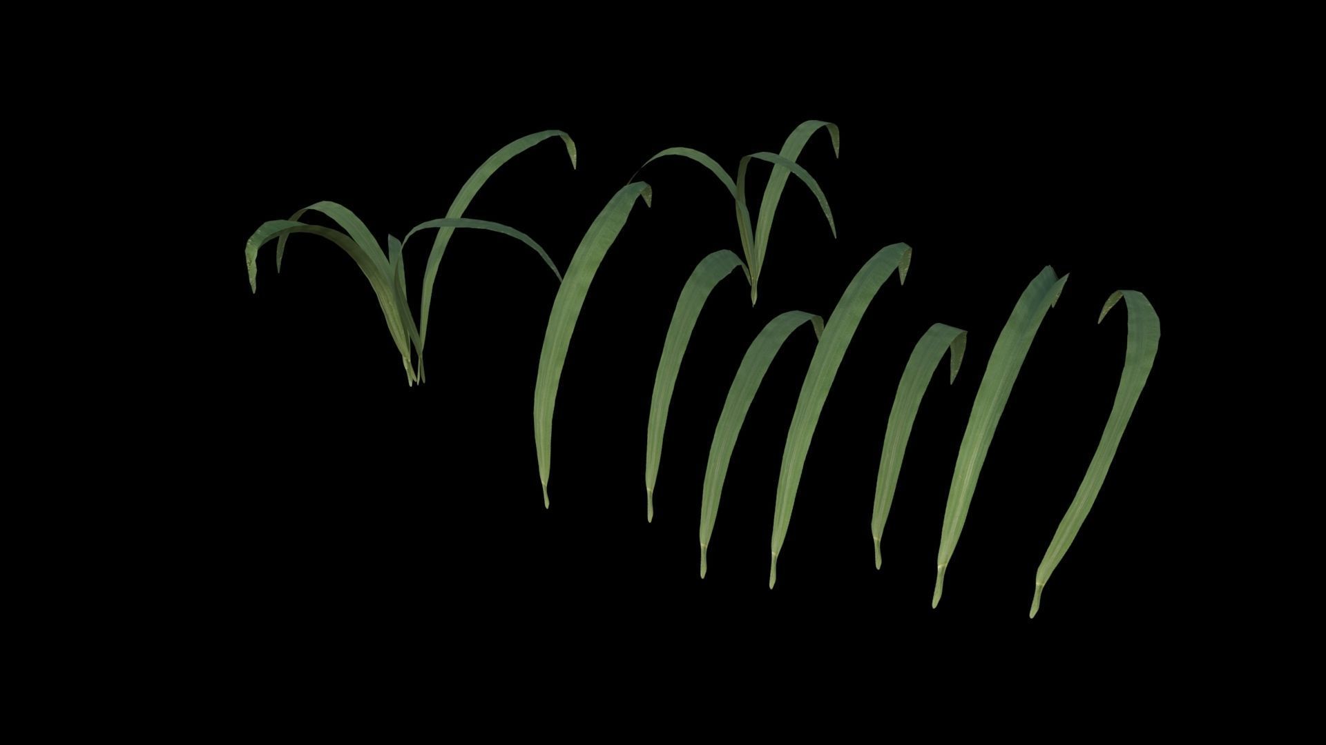 Grass Low-poly 3D model_1