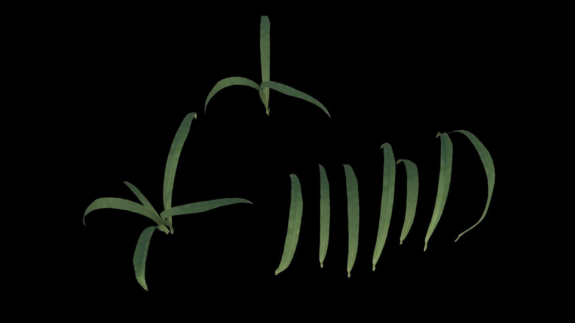 Grass Low-poly 3D model_4