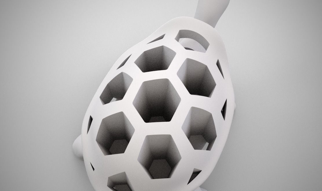 Turtle Organizer 3D print model_11