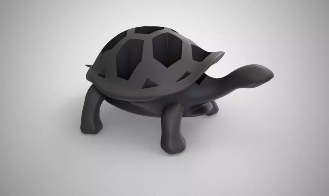 Turtle Organizer 3D print model_0