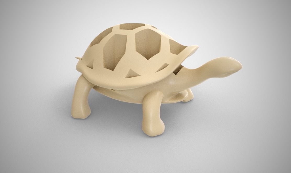 Turtle Organizer 3D print model_2