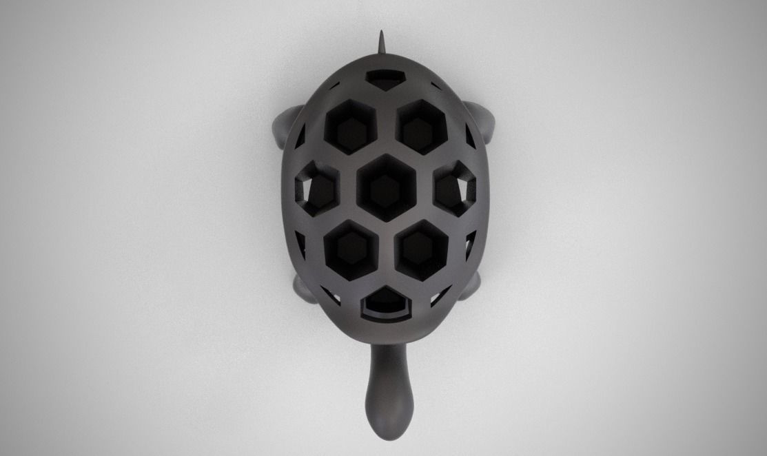 Turtle Organizer 3D print model_3