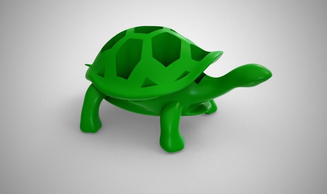 Turtle Organizer 3D print model_1