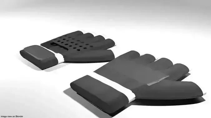 Sport Gloves - Fitness